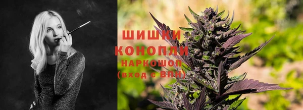 крисы Армянск