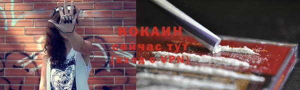 a pvp Аркадак