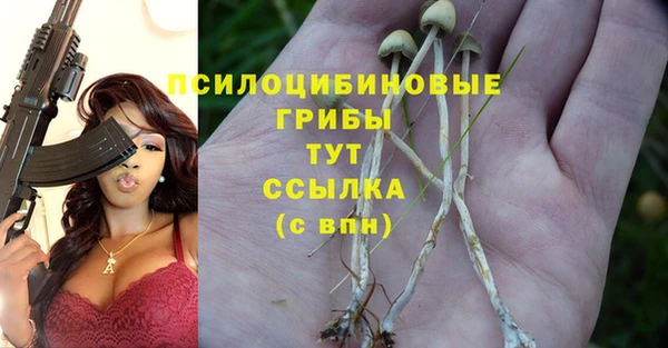 ALPHA-PVP Арсеньев