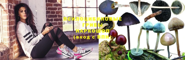 крисы Армянск