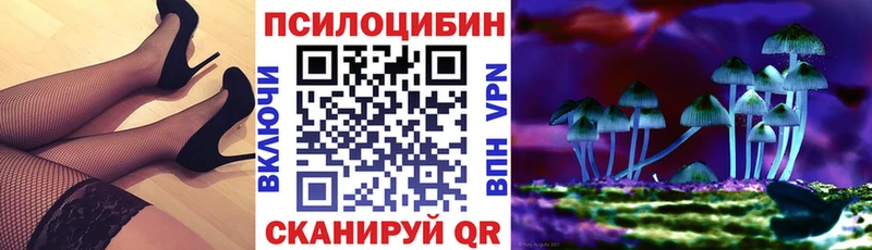 Купить где Горнозаводск Галлюциногенные грибы Cubensis